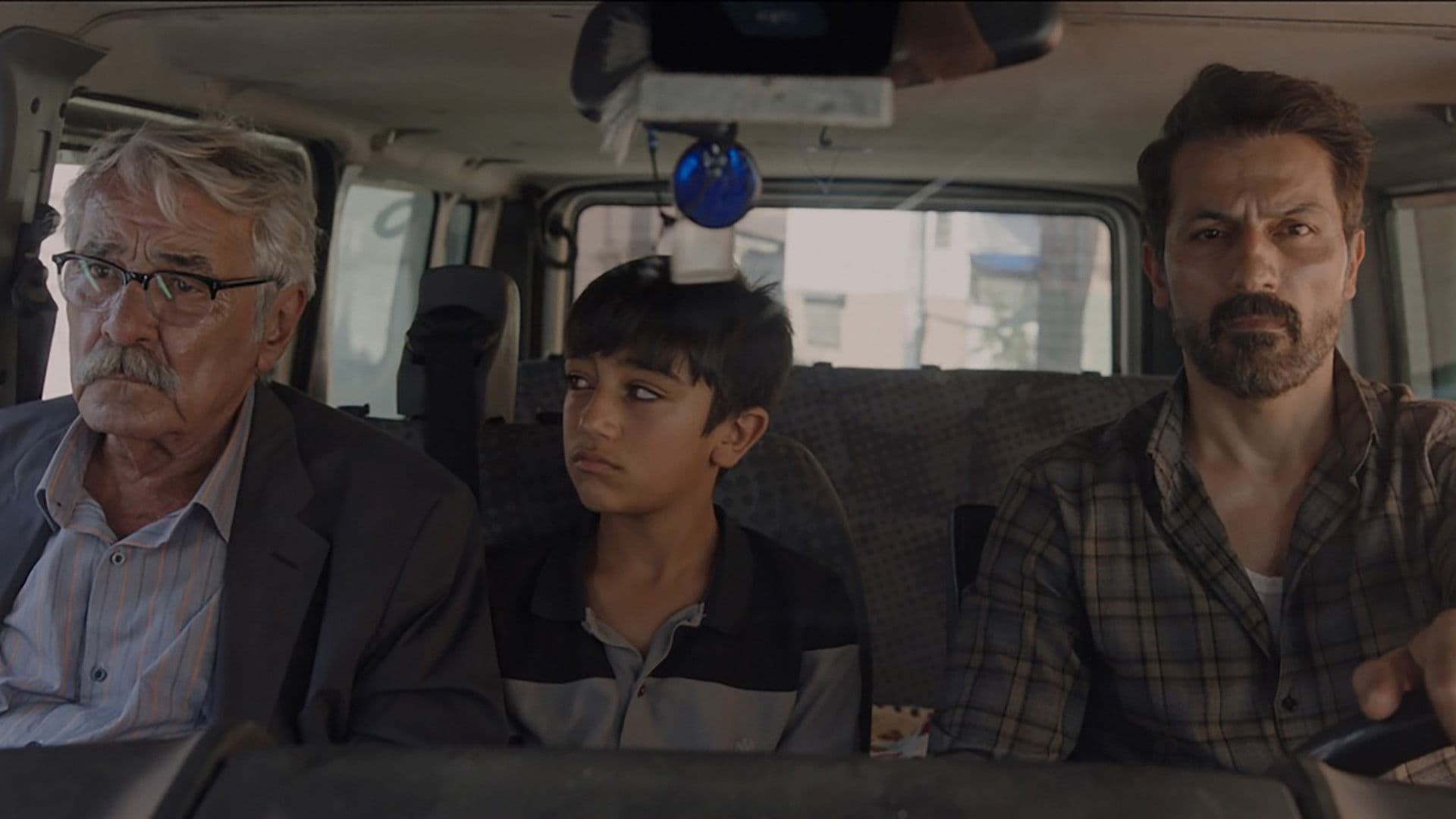 Like a Limbless Tree