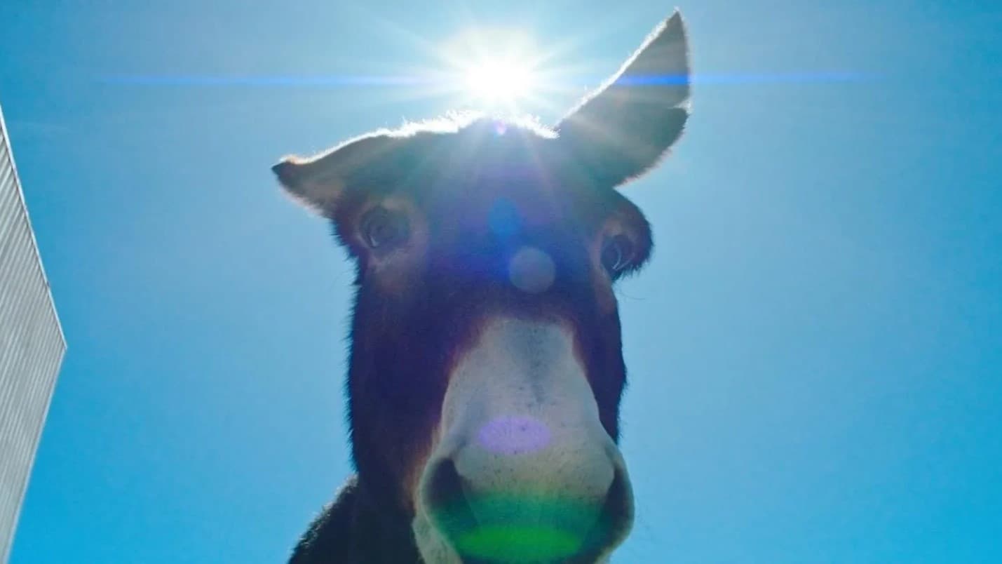 Perfectly a Strangeness