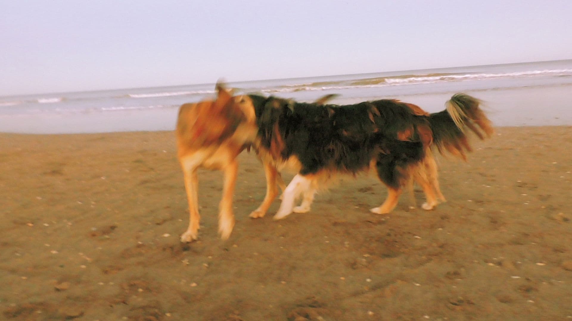 From The 20s In the 80s