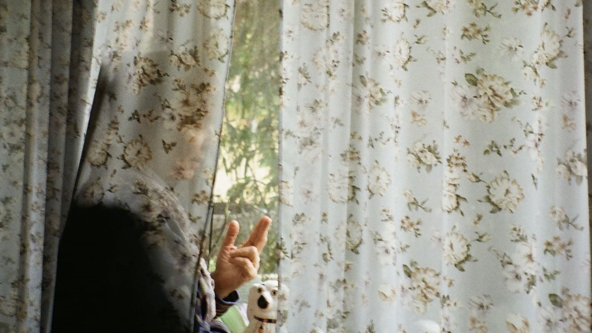 Wind Beneath the Wings