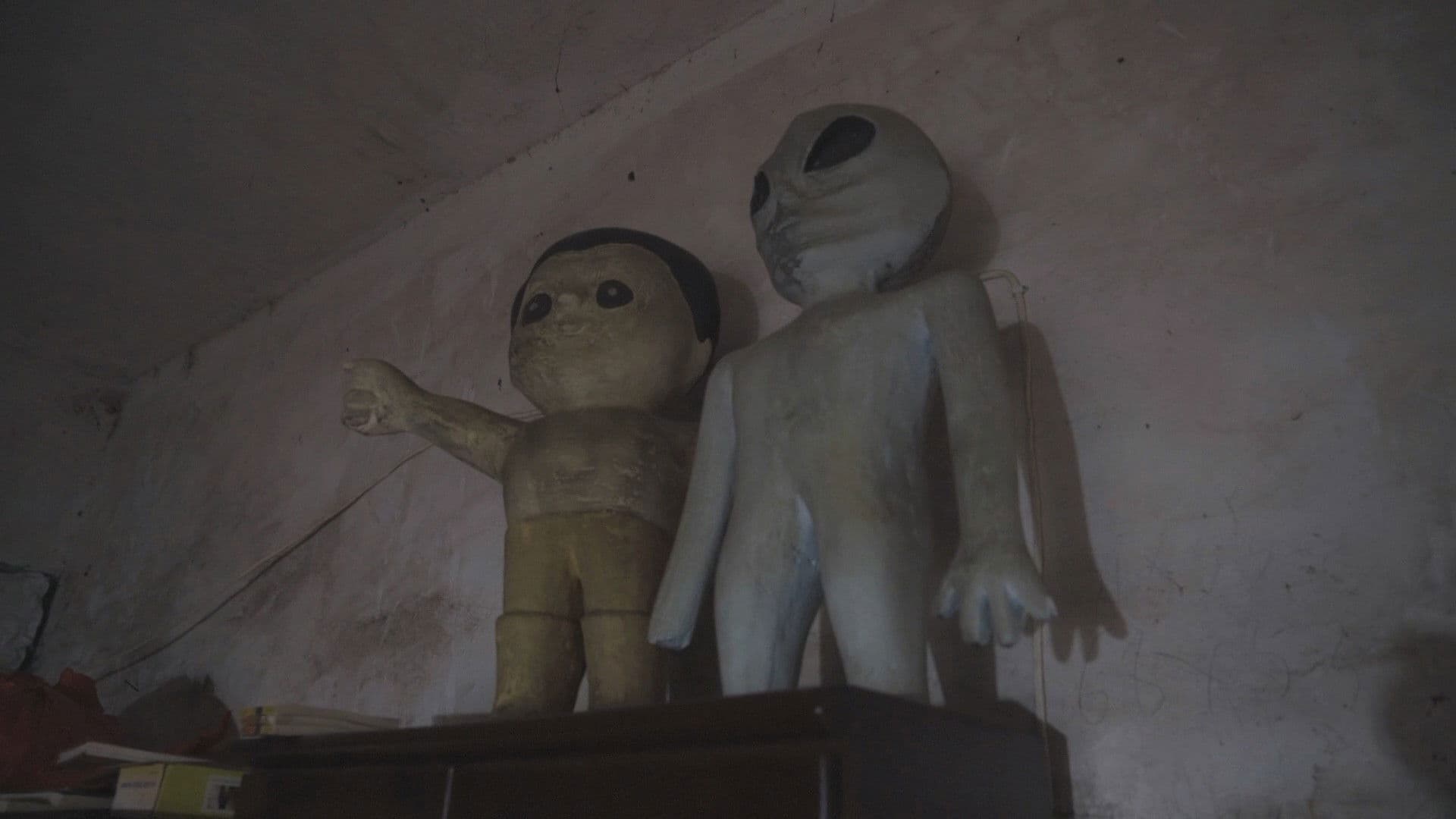 Fragments from the Birth of the Universe