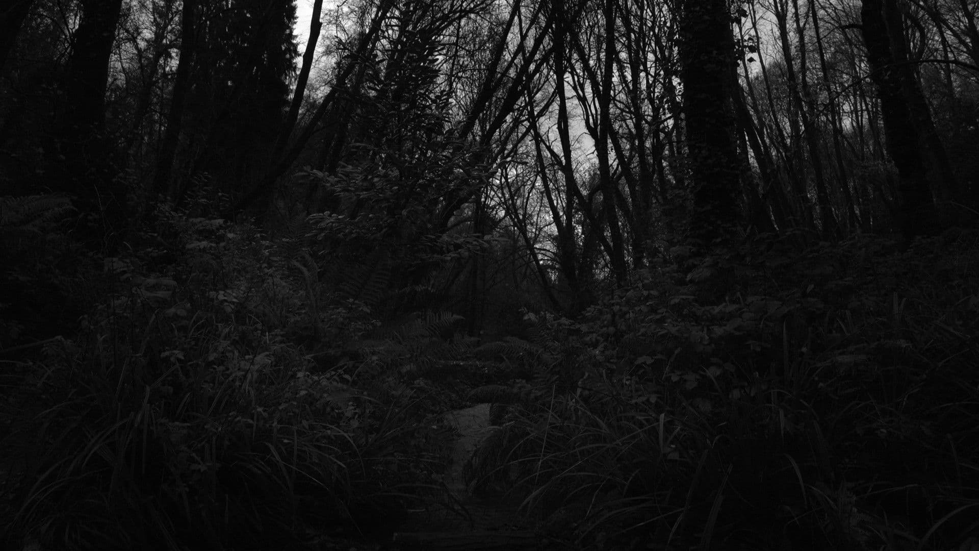 A Deed Without A Name