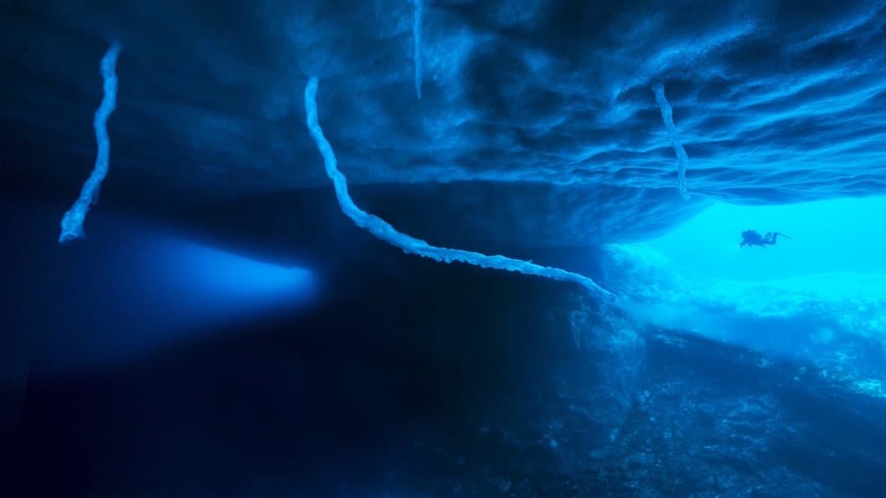 Antarctica, in the footsteps of the Emperor