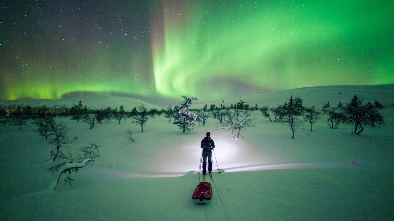 Revontulien armoilla