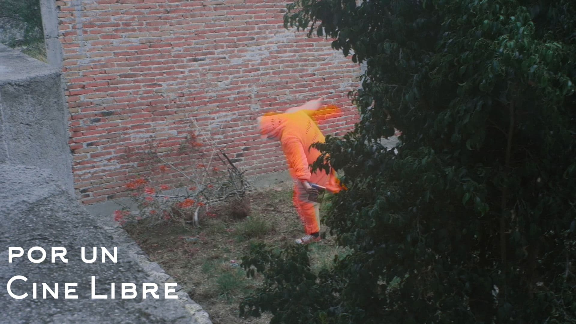 Poemas de la Poetic Shit #33 - Guillaume dime que hacer