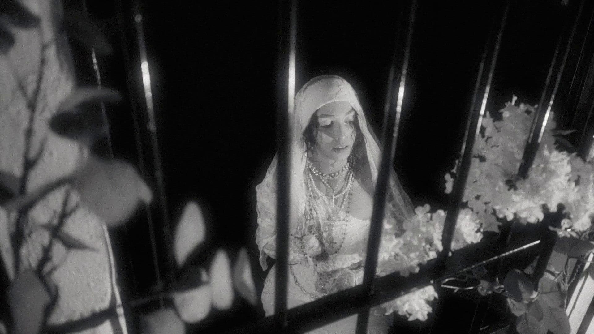 4esquinitas4angelitos