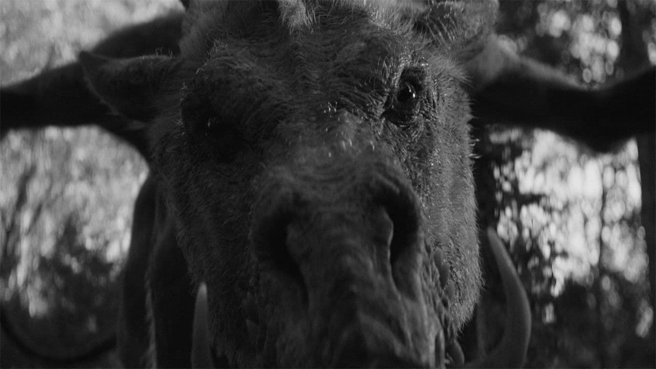 Em & Selma Go Griffin Hunting