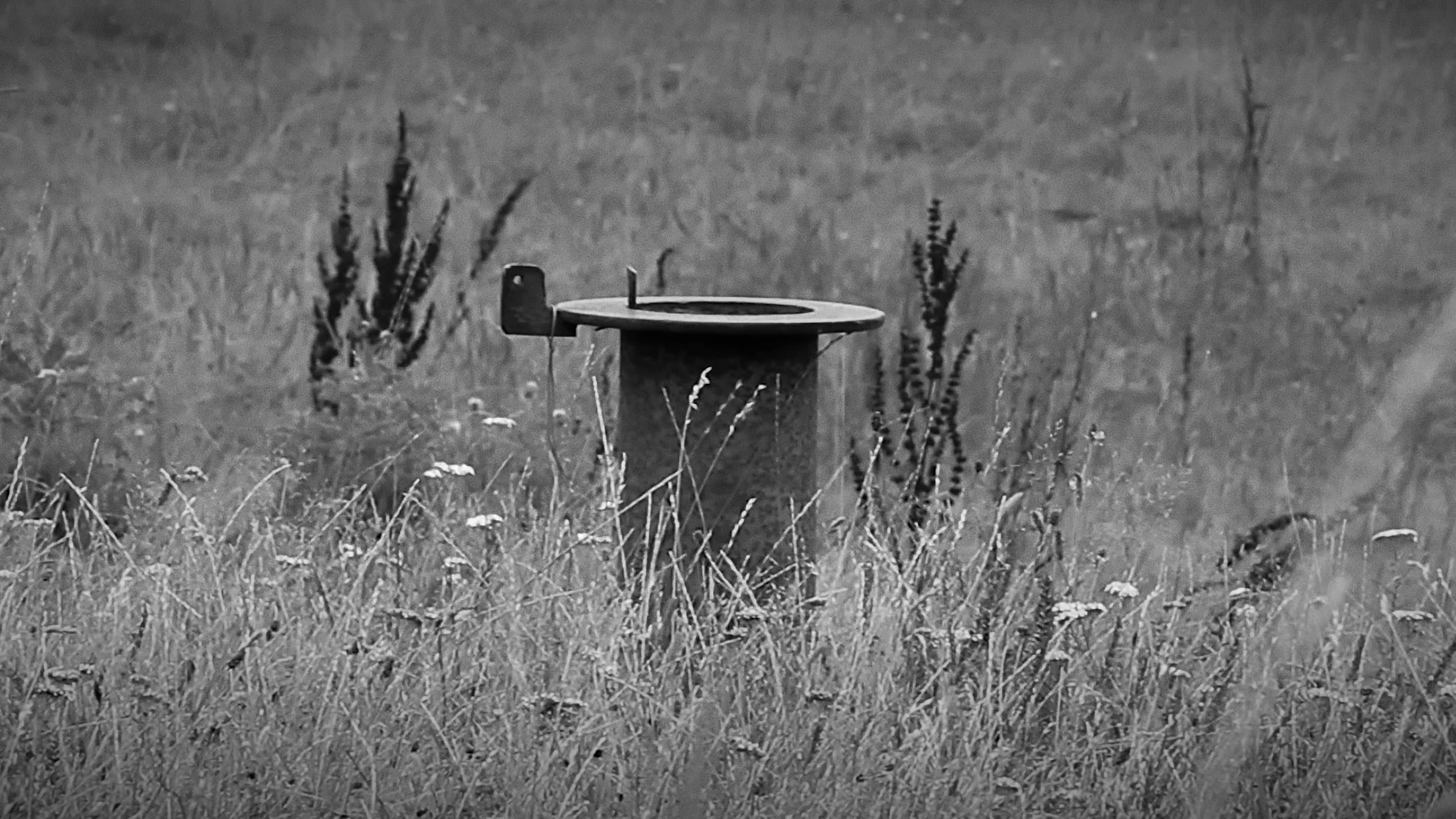 Ambient Dread, Cosmic Indifference