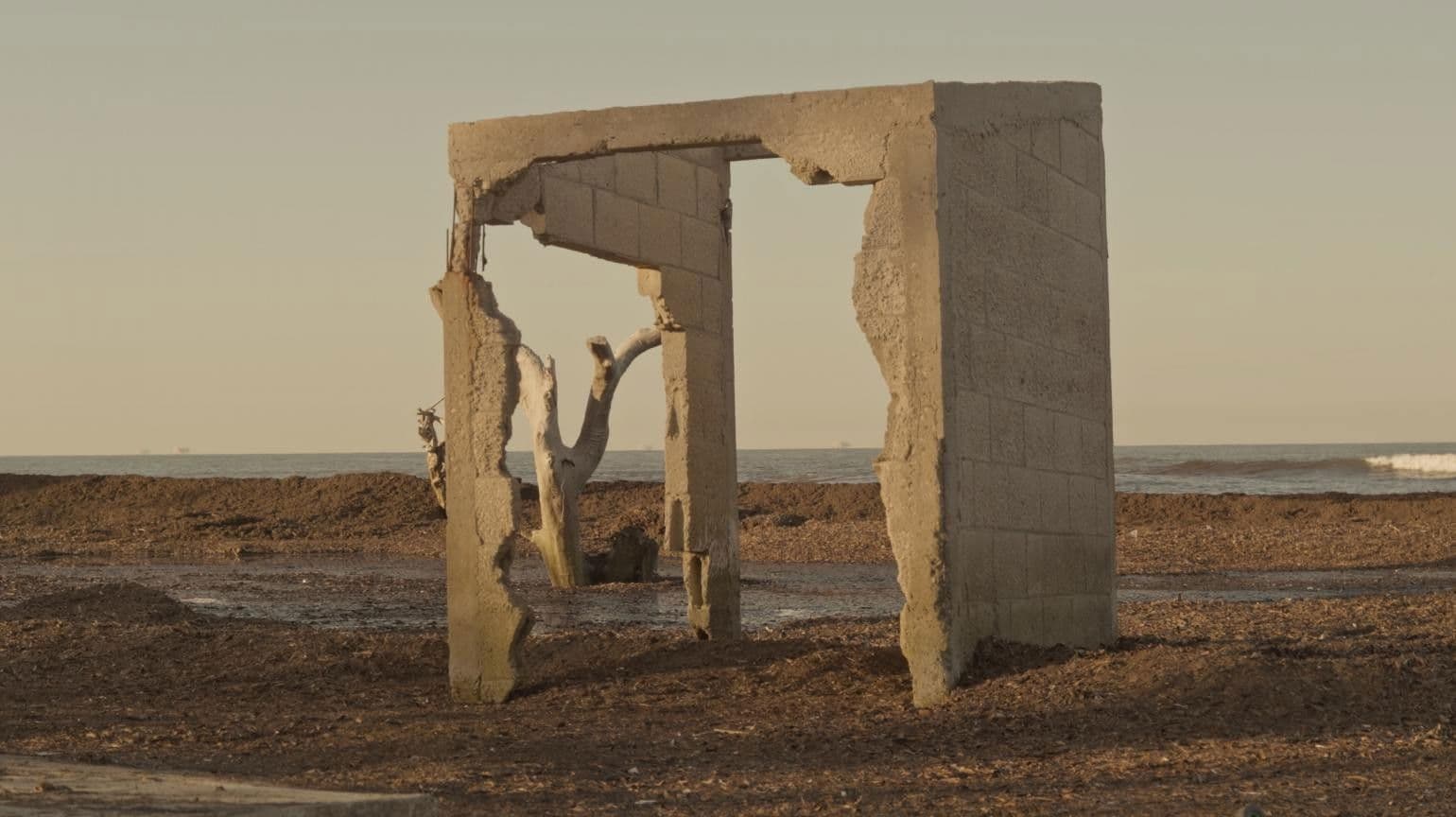 The Stride of Lichen