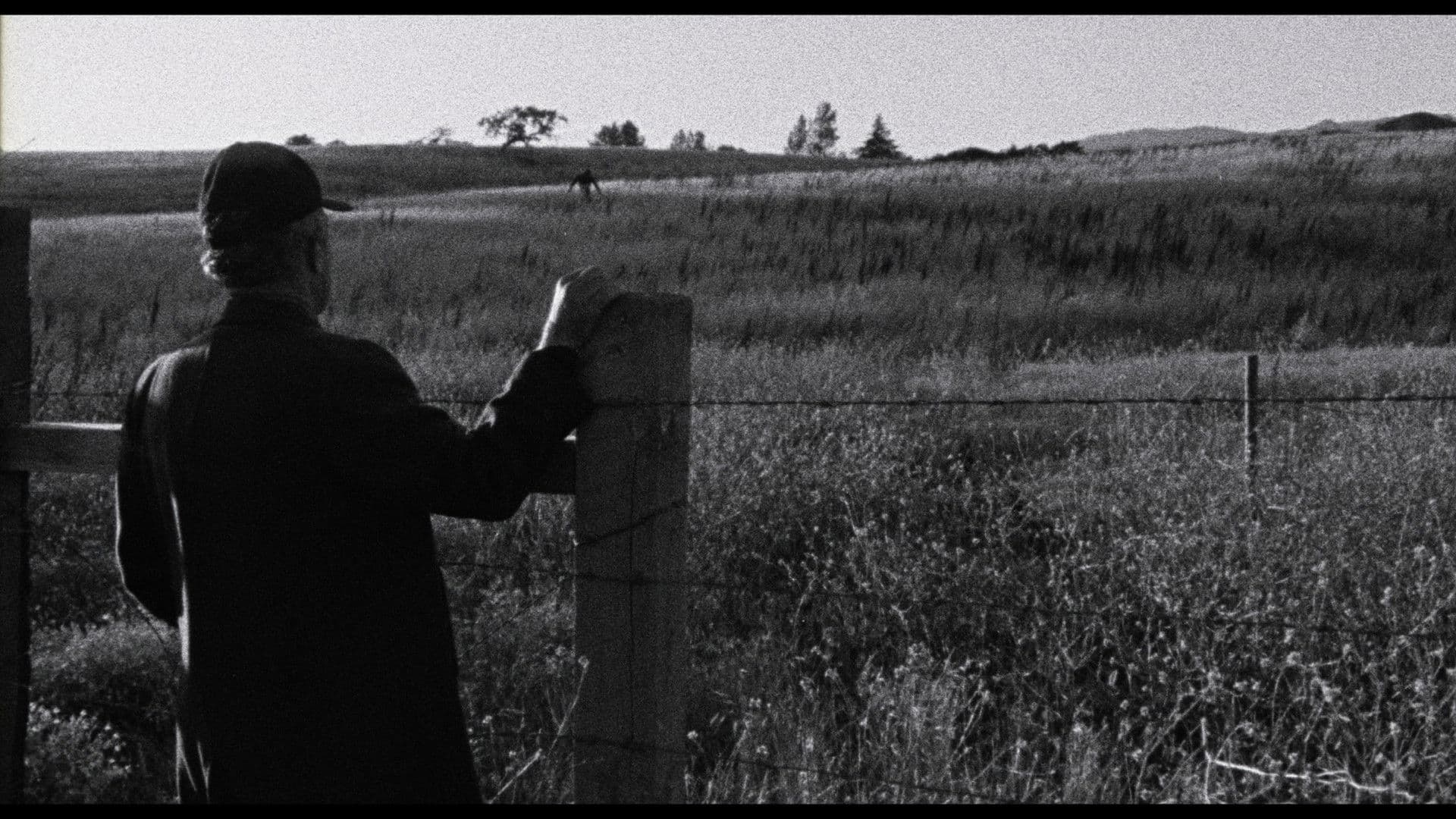 Faith of Our Fathers, a film by Hamilton Sterling