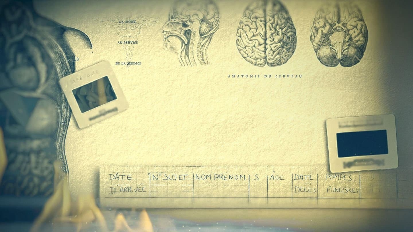 Paris Descartes - Anatomie d'un scandale