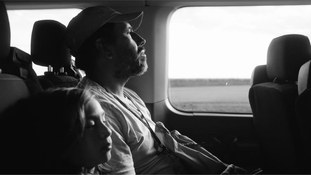 Without Shade, Without Rest