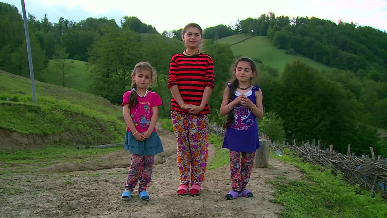 The Fog Will Carry Us