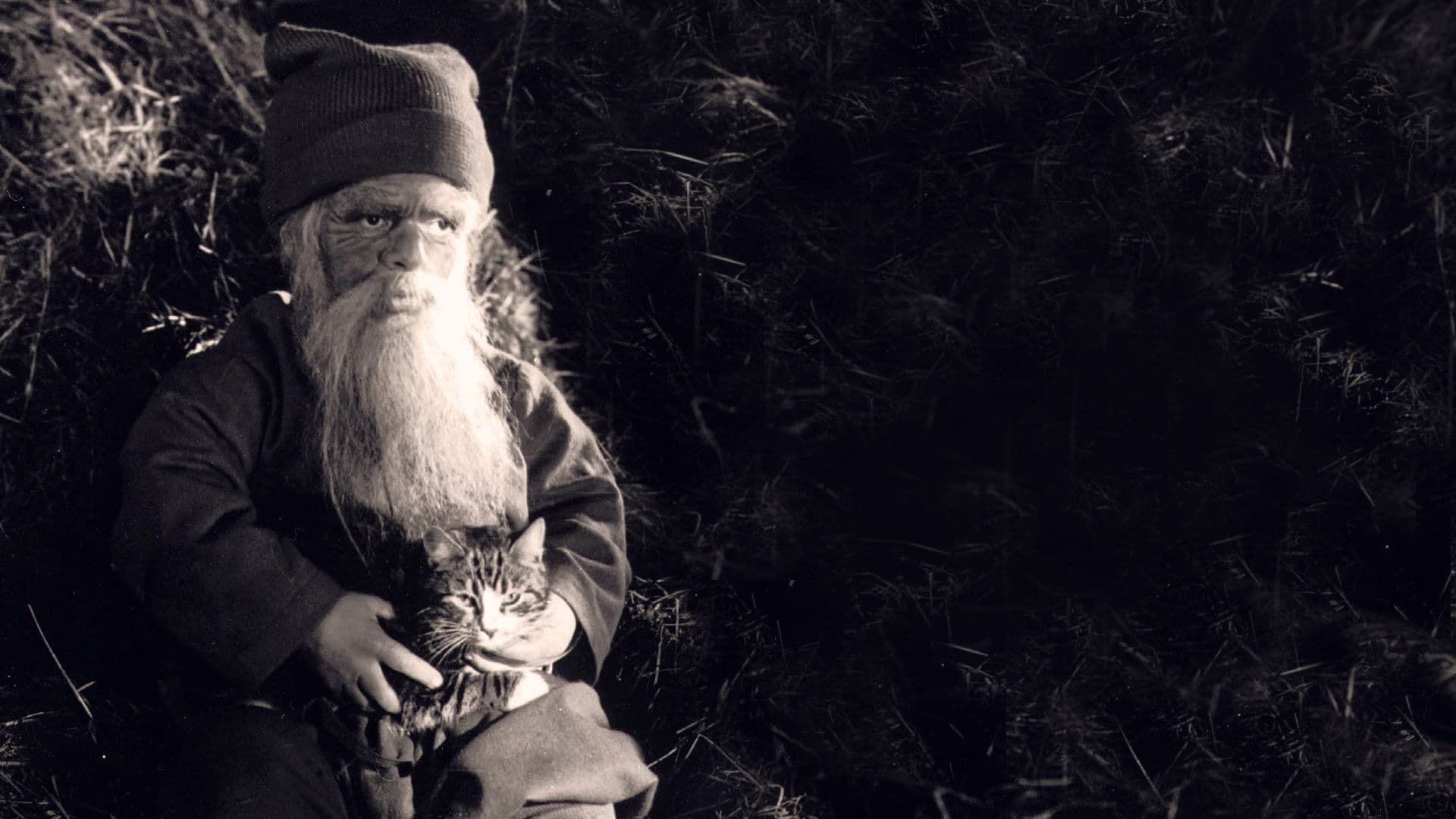 Tomten: A Winter Tale