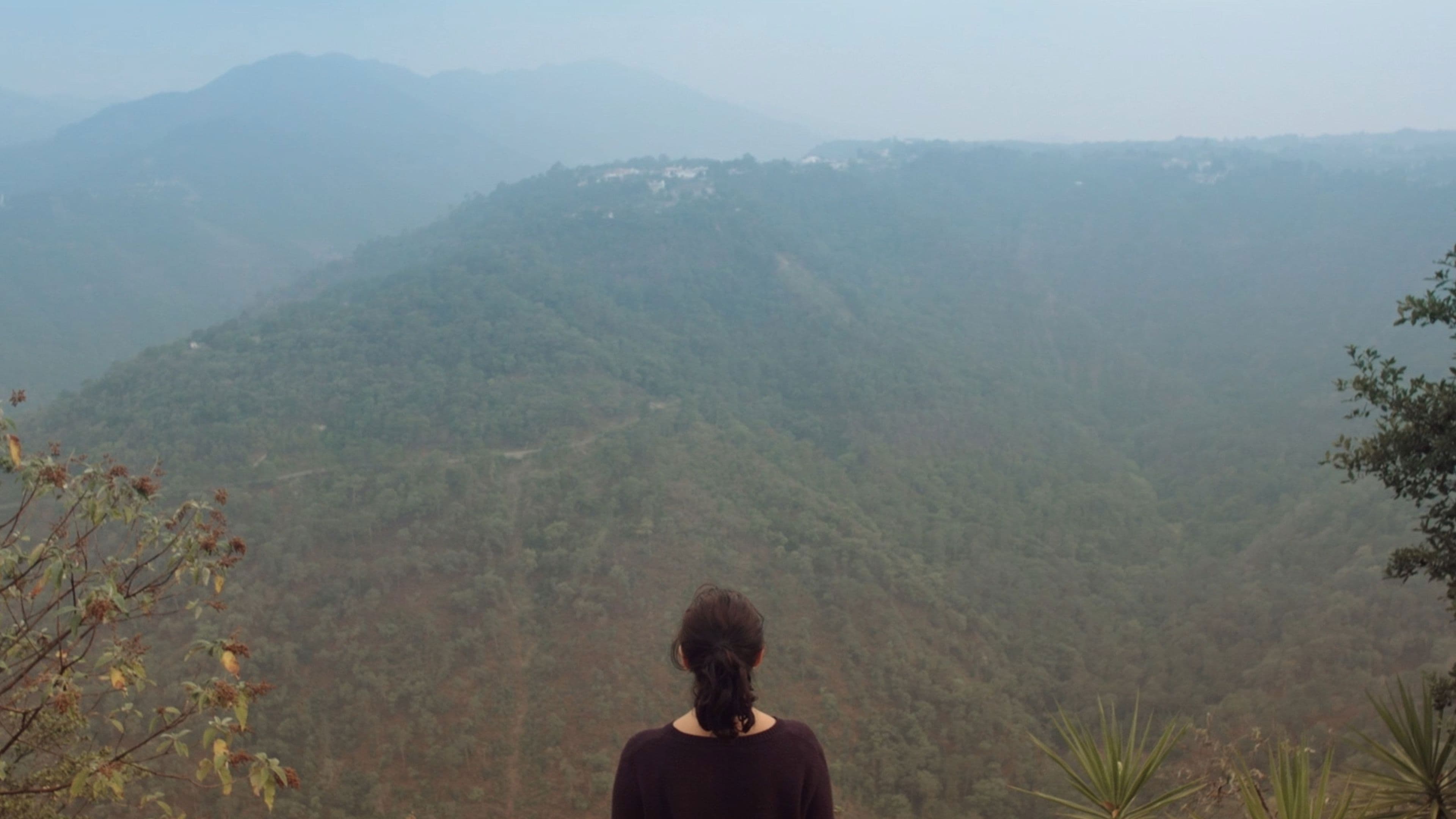 Nobody, Not Even the Mist