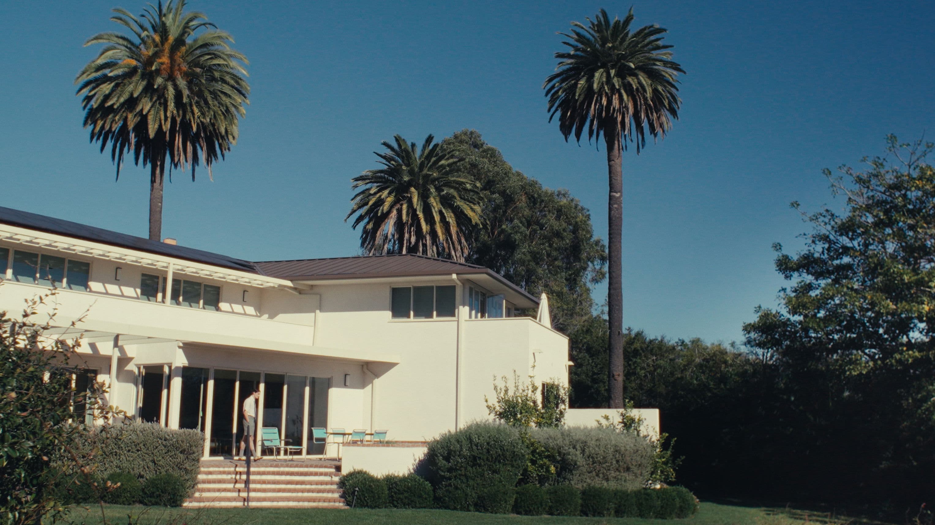 Confessions of Thomas Mann, Confidence Man