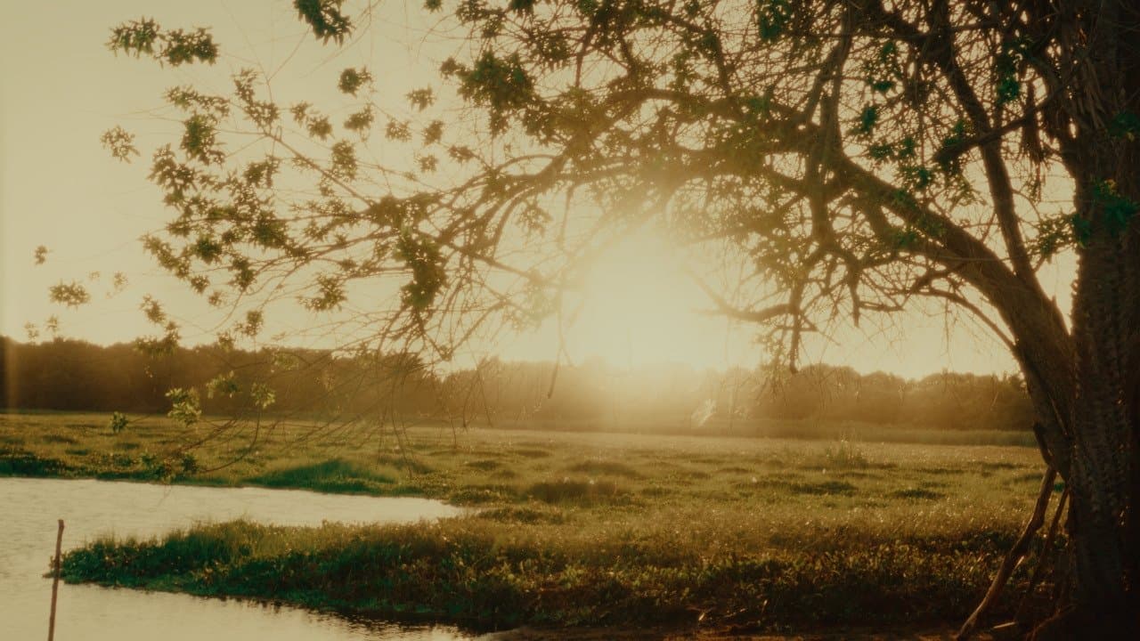 Por Todos Os Lugares Que Já Passei