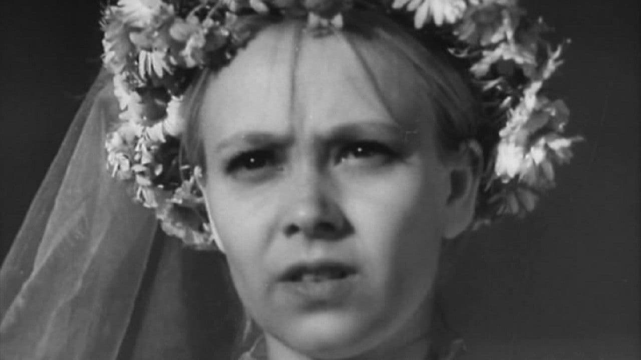 Drama in the Barber’s Shop