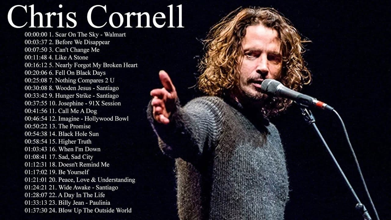 Chris Cornell - Pro Shot - Acoustic Live