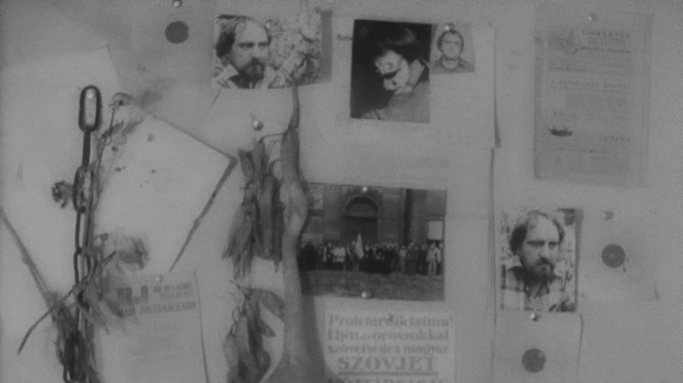 In memoriam Hajnóczy Péter