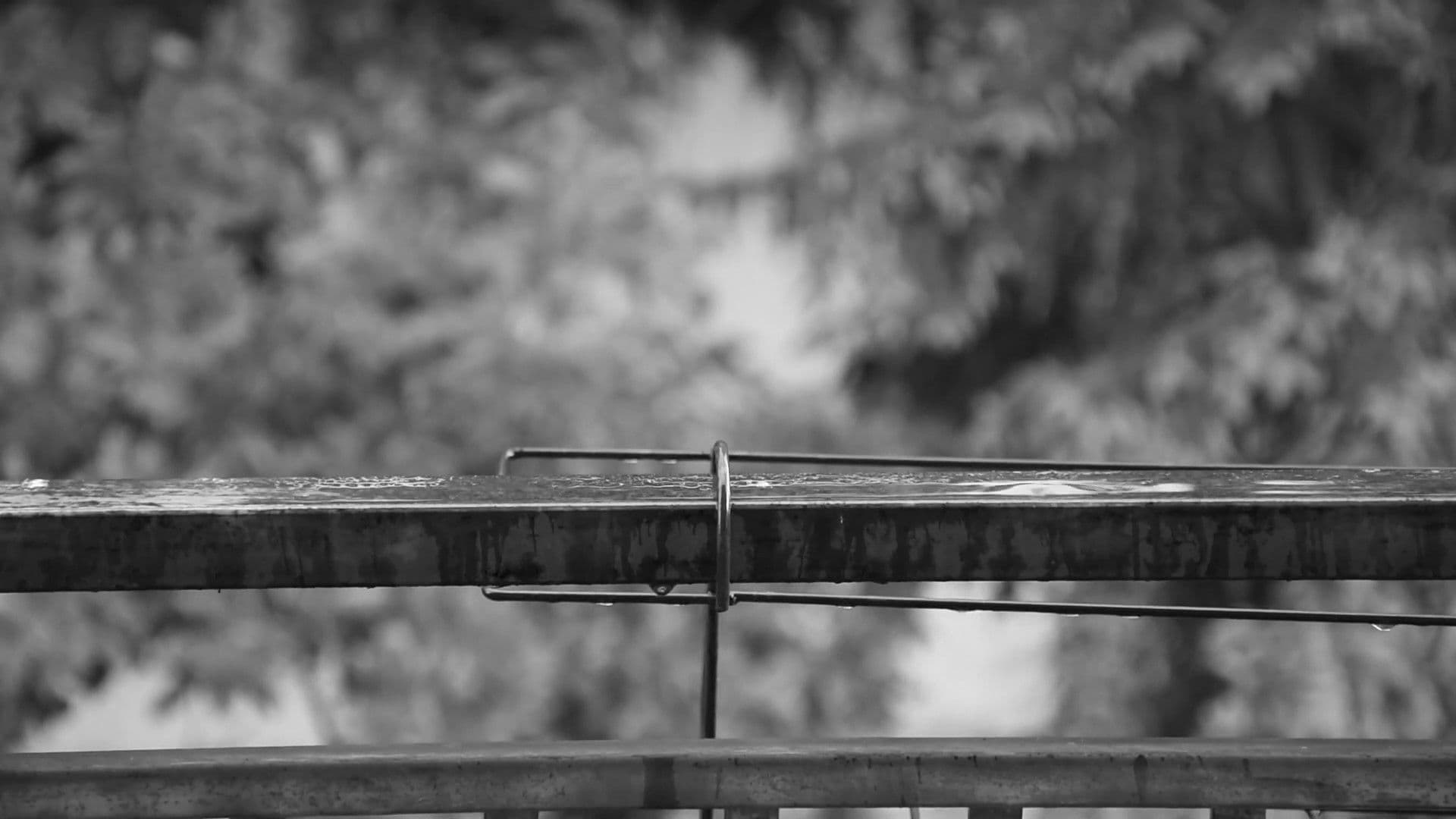 Women's effect on man…