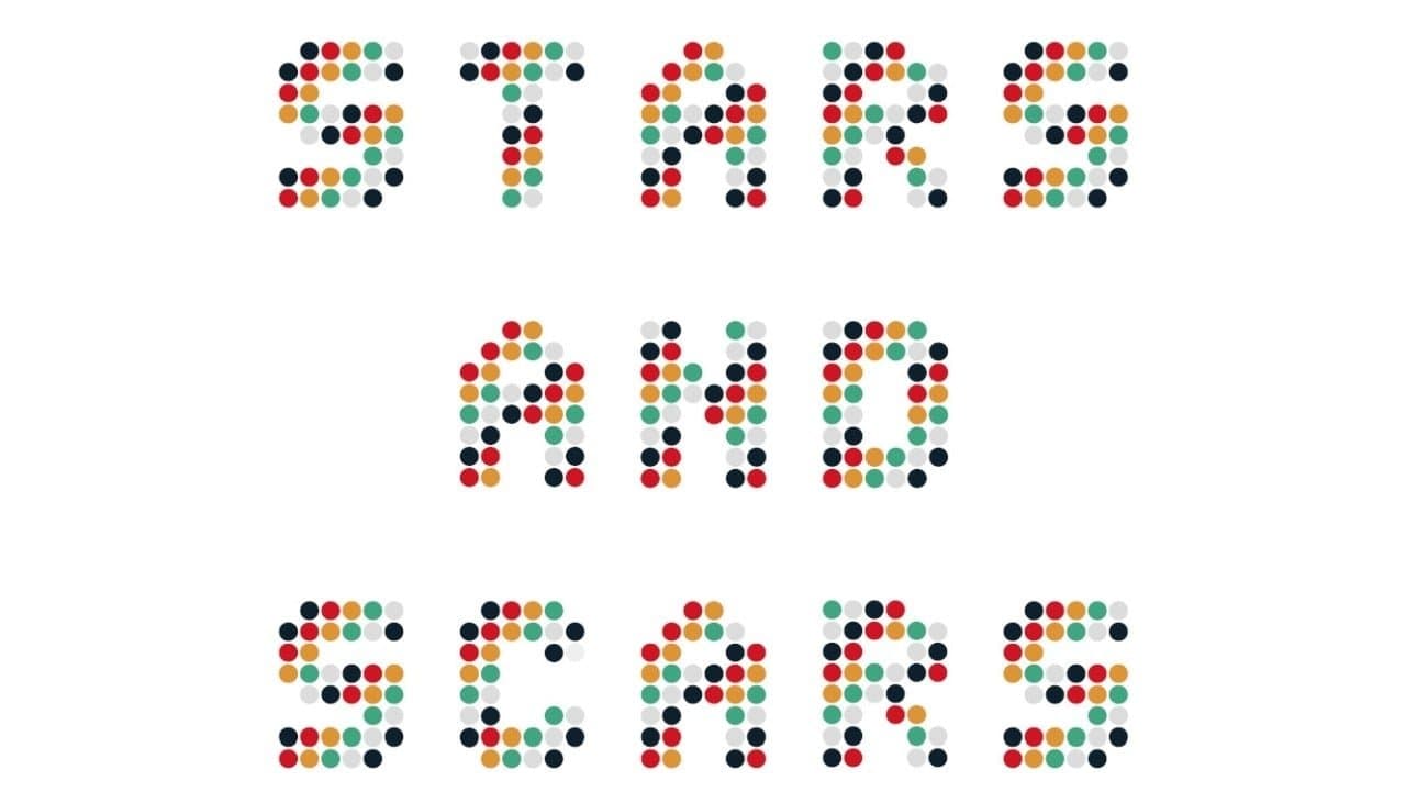 Stardust Future: Stars and Scars