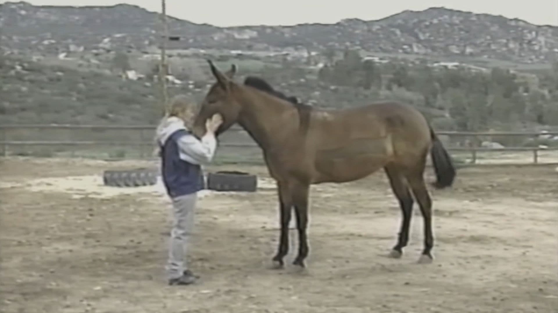 The Psychic Connection