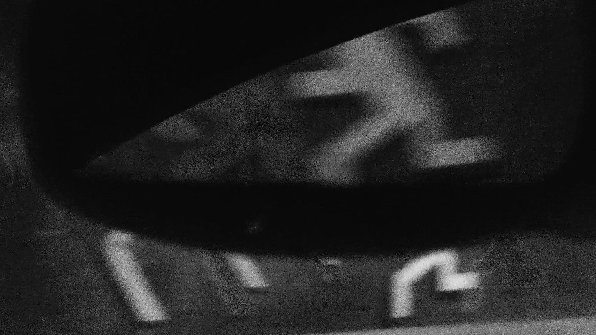 I Dream of a Tropical Night in Beautiful South America