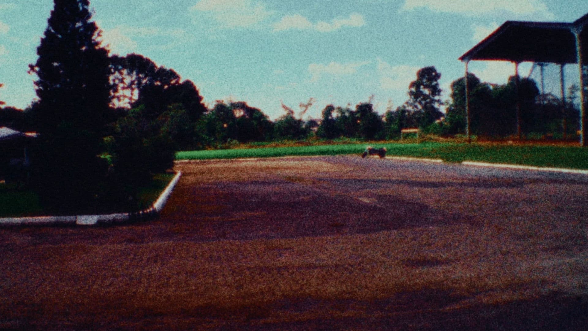 Maia: The Odyssey of a City