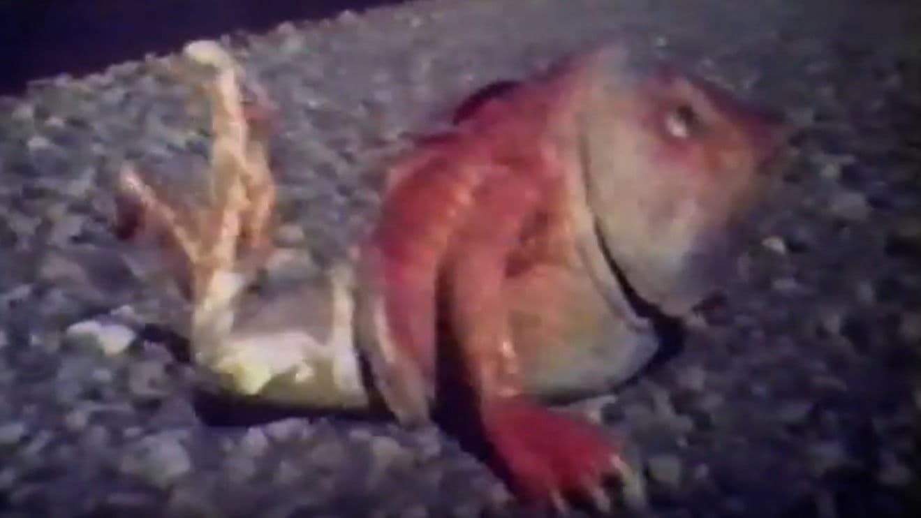 Legend of Heavenly Mother Ma-Tsu