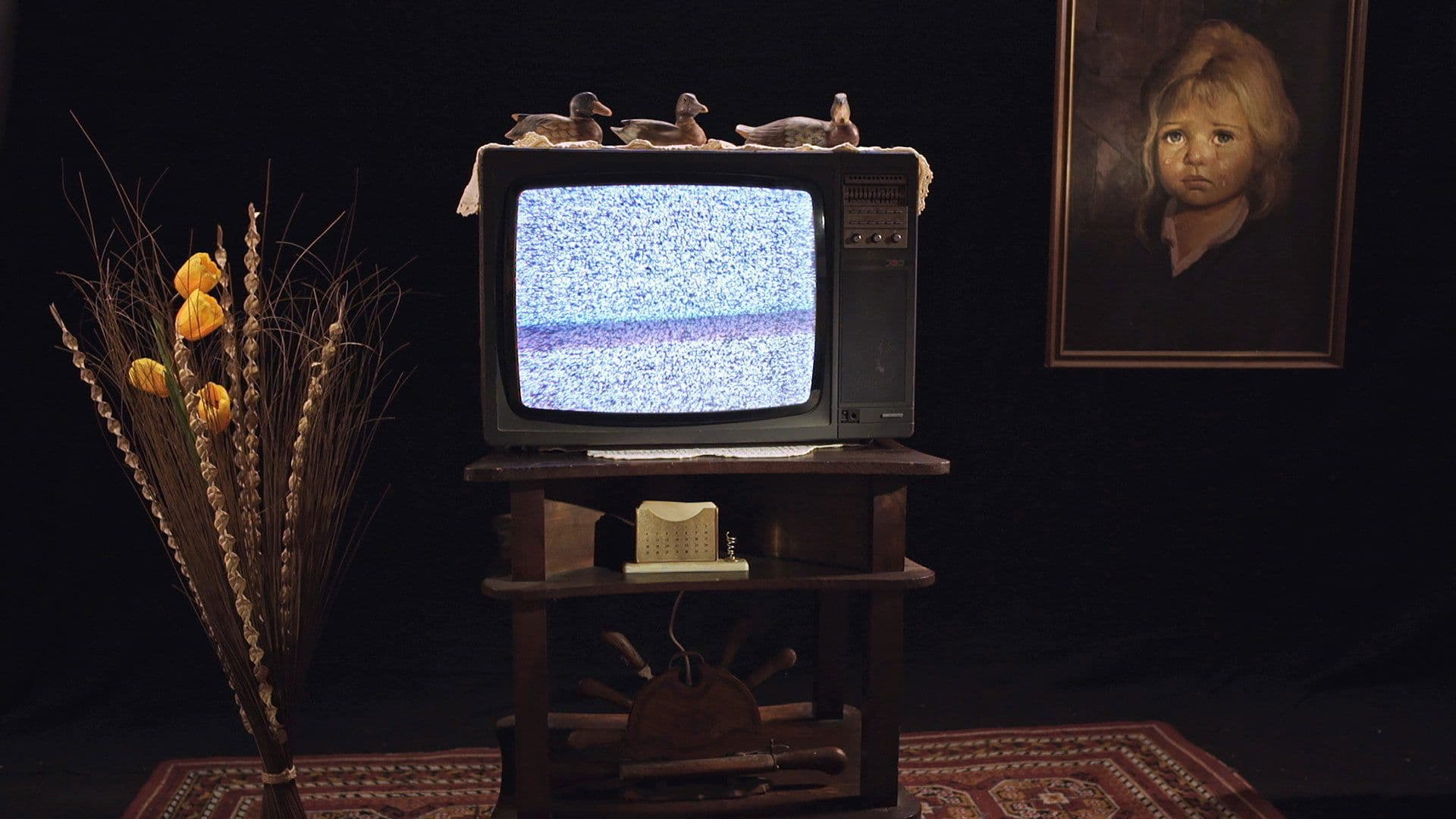 Uma História do Espectador de Cinema