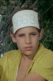 Péter Müller photo 2