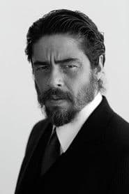 Benicio del Toro photo 7