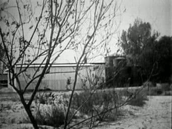 On the Trail of Eliot Ness