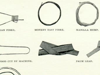 Thomas Edison - Lighting Up the World