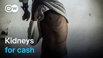 The global organ trafficking network