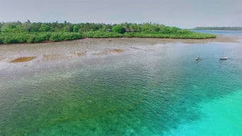 Mafia Island - Uncharted Paradise