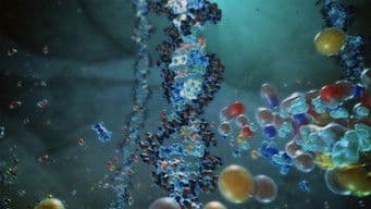 Preventing Armageddon