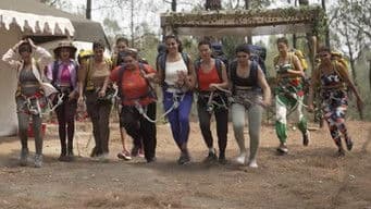 Survival Of The Fittest