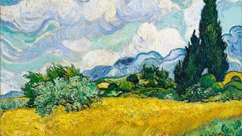 Vincent Discovers Colour