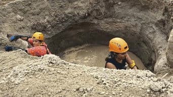 Face-Off in The Jungle