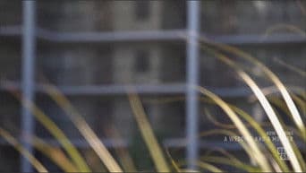 A Myrtle Beach Murder