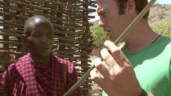 Into the Safari Spirit