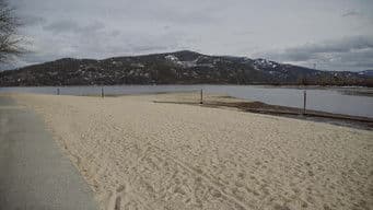 Missing Means Murder