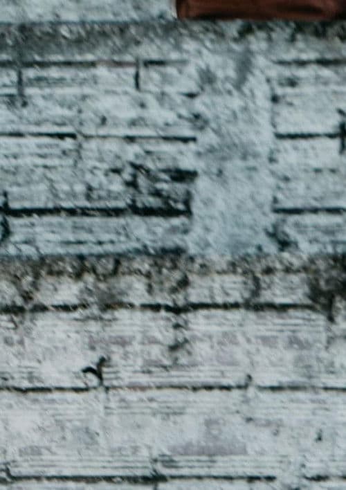 Das Cinzas às Cinzas