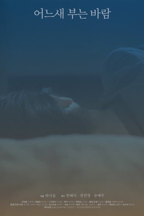 The Consolation of the Wind