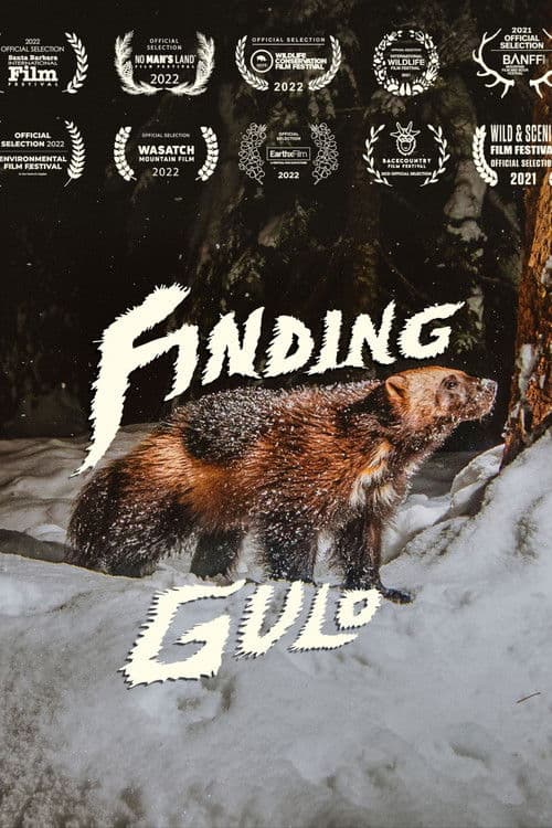 Finding Gulo