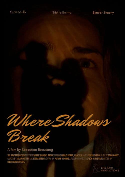 Where Shadows Break