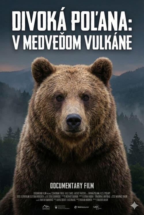 Divoká Poľana: V medveďom vulkáne