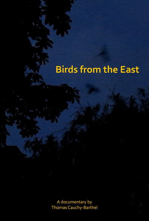 Les oiseaux de l'Est